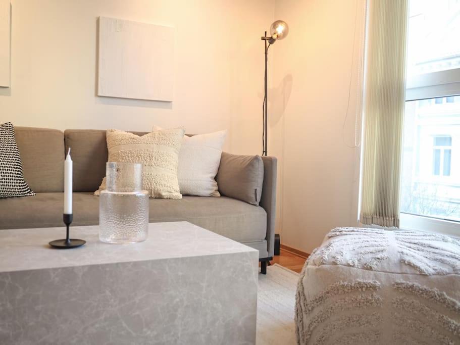 Live In A Stylish In The Center Of Apartment
